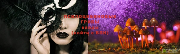 стаф Баксан