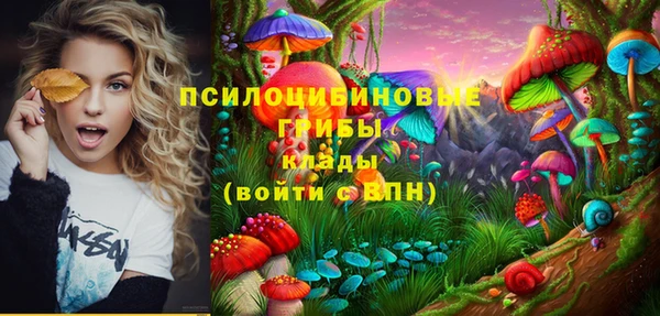 синтетический гашиш Балахна