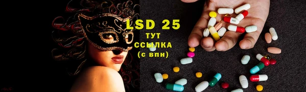 стаф Баксан