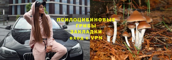 стаф Балабаново